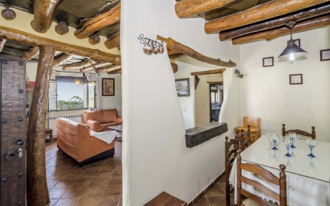 Living and dining areas